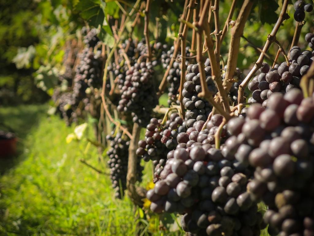 Il Molinaccio Di Montepulciano Villa Kültér fotó